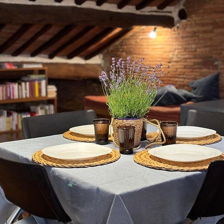 Lovely Apartment Лукка Экстерьер фото
