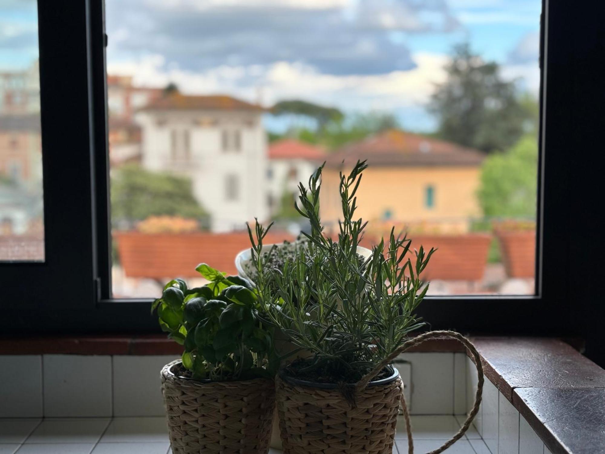 Lovely Apartment Лукка Экстерьер фото